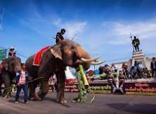 สุรินทร์